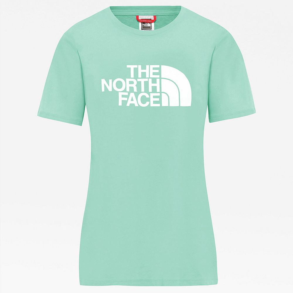 The North Face T-Shirts Womens Australia - The North Face Boyfriend Blue Mountain (LHG-143805)